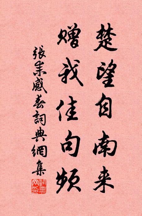张耒楚望自南来，赠我佳句频书法作品欣赏