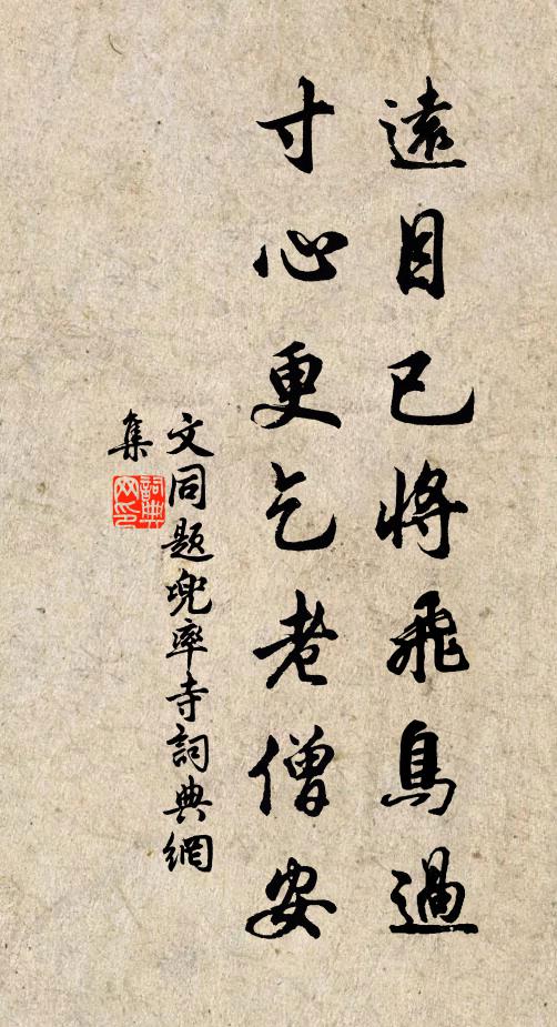 文同远目已将飞鸟过，寸心更乞老僧安书法作品欣赏