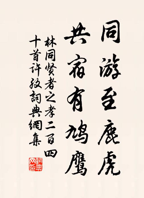 林同同游至鹿虎，共宿有鸠鹰书法作品欣赏