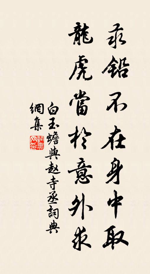 白玉蟾汞铅不在身中取，龙虎当於意外求书法作品欣赏