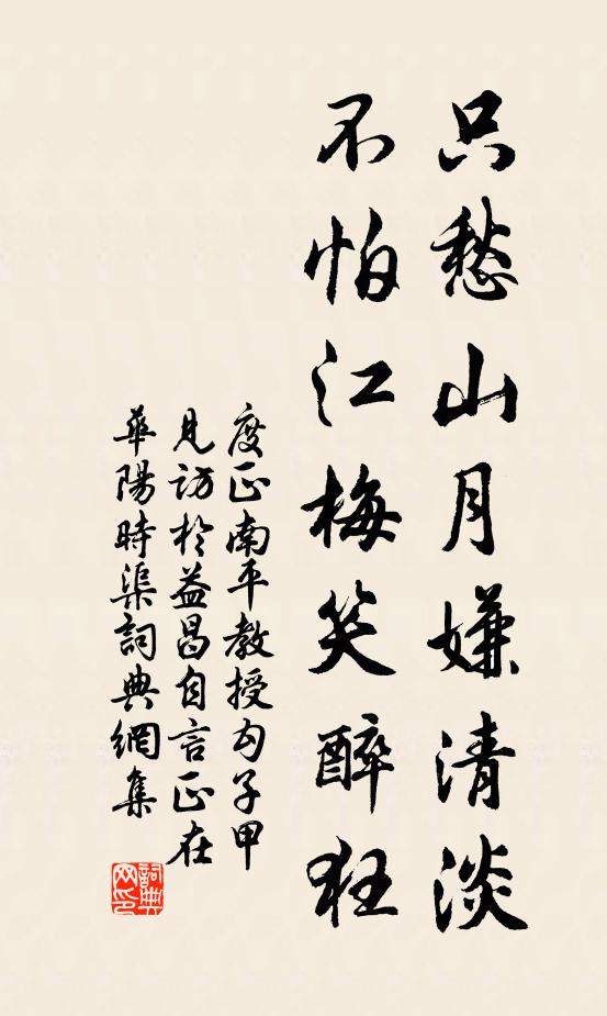 度正只愁山月嫌清淡，不怕江梅笑醉狂书法作品欣赏