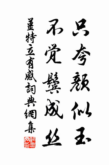姜特立只夸颜似玉，不觉鬓成丝书法作品欣赏