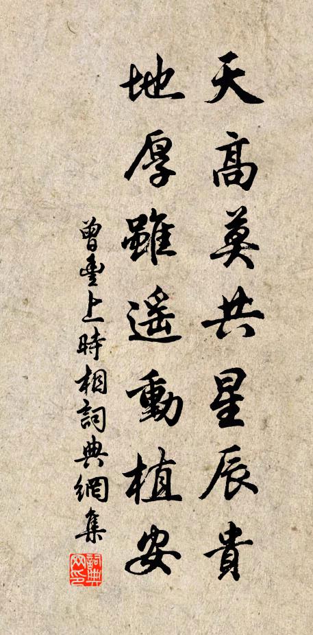 曾丰天高莫共星辰贵，地厚虽遥动植安书法作品欣赏