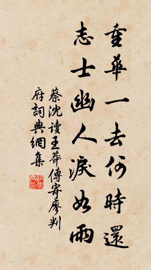 蔡沈重华一去何时还，志士幽人泪如雨书法作品欣赏