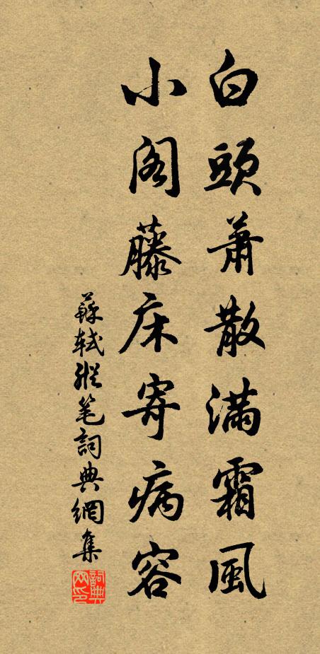苏轼白头萧散满霜风，小阁藤床寄病容书法作品欣赏