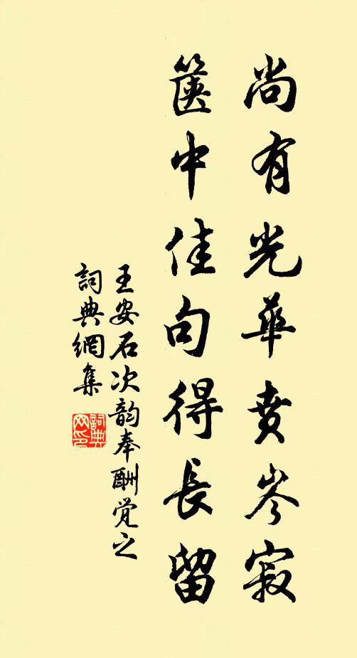 王安石尚有光华贲岑寂，箧中佳句得长留书法作品欣赏