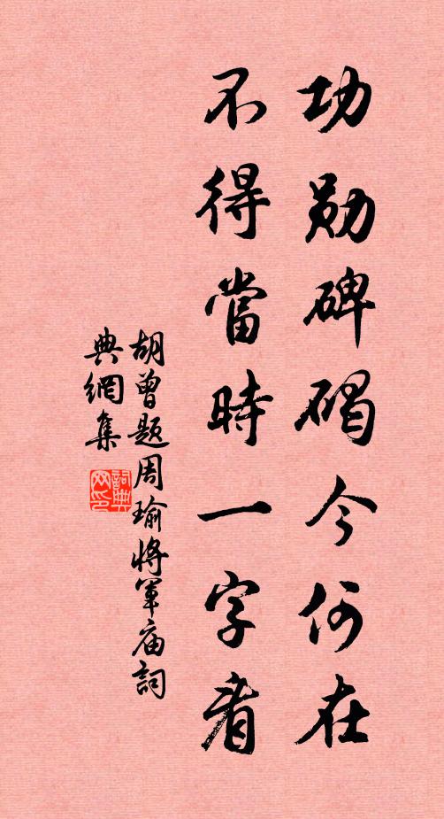 胡曾功勋碑碣今何在，不得当时一字看书法作品欣赏
