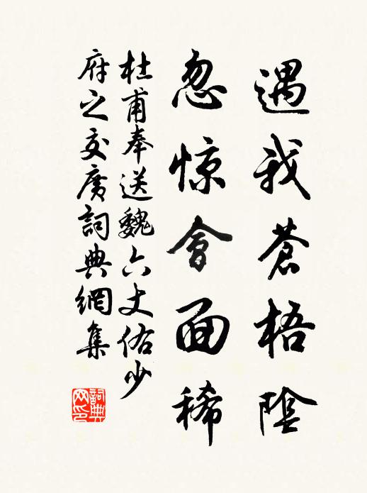 杜甫遇我苍梧阴,忽惊会面稀书法作品欣赏