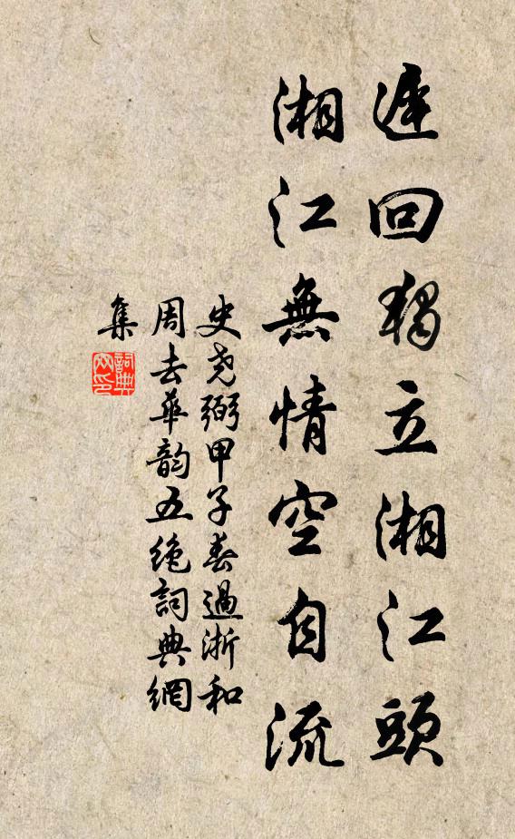 史尧弼迟回独立湘江头，湘江无情空自流书法作品欣赏