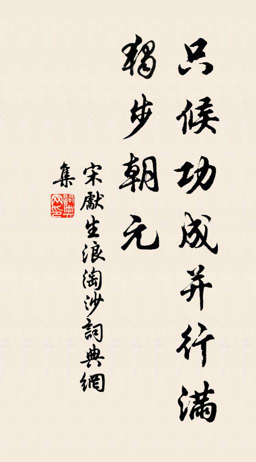 宋先生只候功成并行满，独步朝元书法作品欣赏