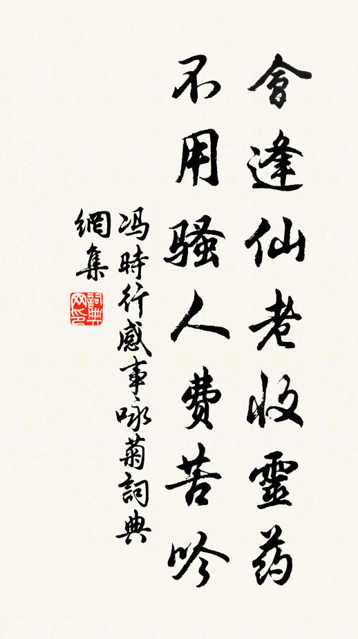 冯时行会逢仙老收灵药，不用骚人费苦吟书法作品欣赏