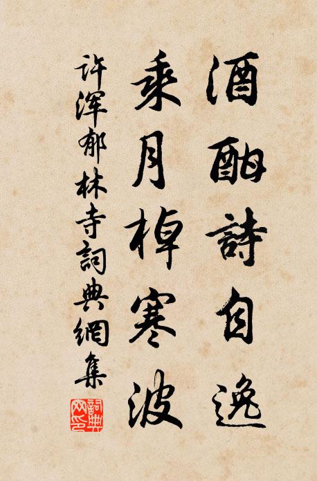 许浑酒酣诗自逸，乘月棹寒波书法作品欣赏