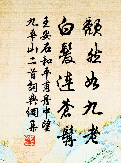 王安石颓然如九老,白发连苍髯书法作品欣赏