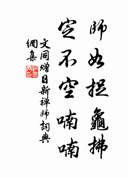 文同师如捉龟拂，定不空喃喃书法作品欣赏