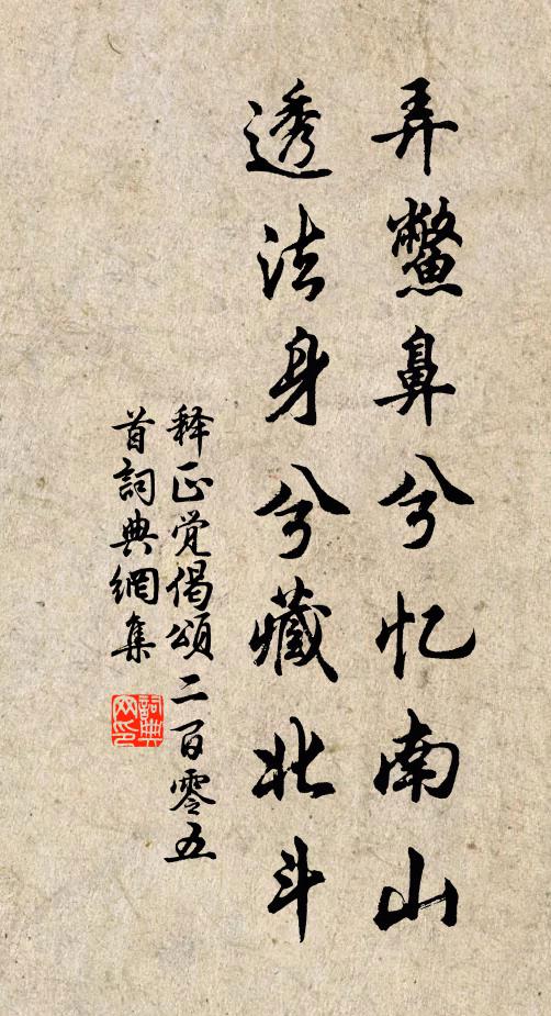 释正觉弄鳖鼻兮忆南山，透法身兮藏北斗书法作品欣赏