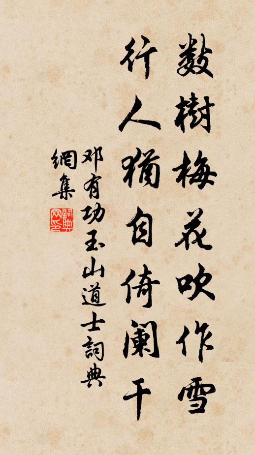 邓有功数树梅花吹作雪，行人犹自倚阑干书法作品欣赏