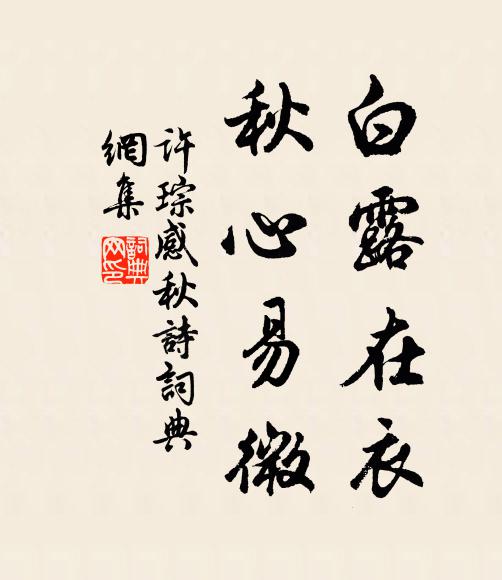 许琮白露在衣，秋心易微书法作品欣赏