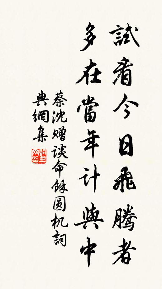 蔡沈试看今日飞腾者，多在当年计与中书法作品欣赏