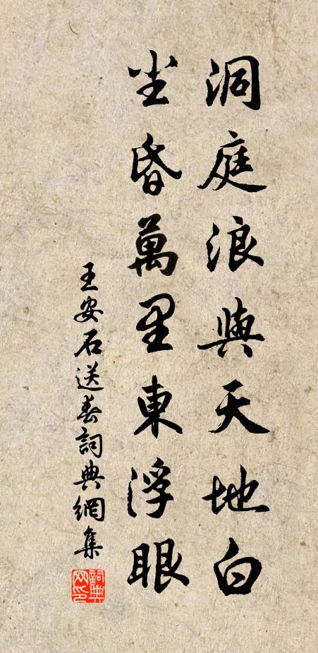 王安石洞庭浪与天地白，尘昏万里东浮眼书法作品欣赏