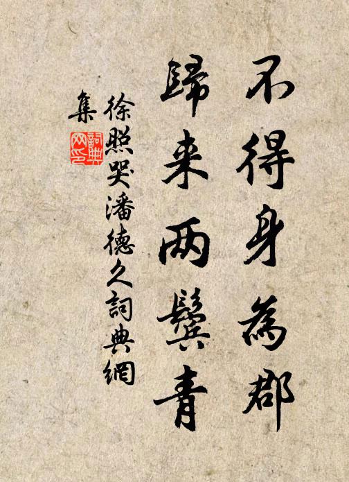 徐照不得身为郡，归来两鬓青书法作品欣赏