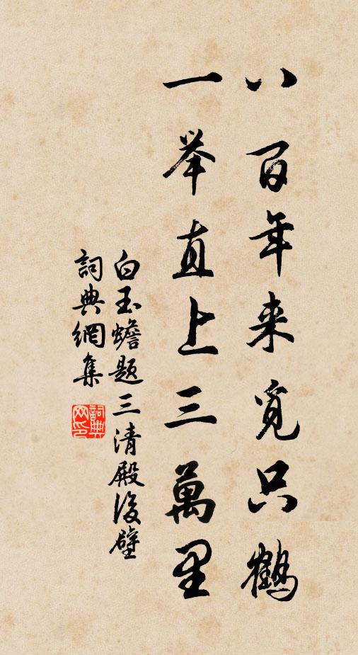 白玉蟾八百年来觅只鹤，一举直上三万里书法作品欣赏