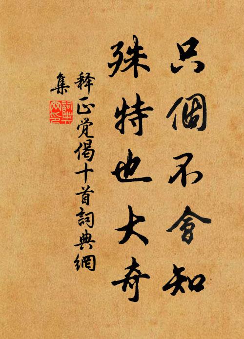释正觉只个不会知，殊特也大奇书法作品欣赏