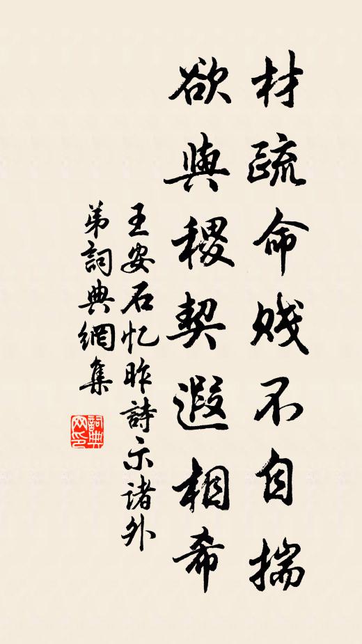 王安石材疏命贱不自揣，欲与稷契遐相希书法作品欣赏