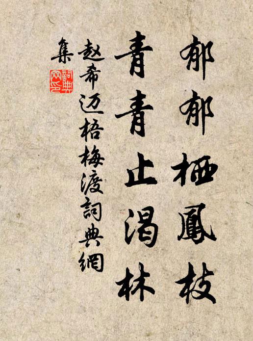 赵希迈郁郁栖凤枝，青青止渴林书法作品欣赏