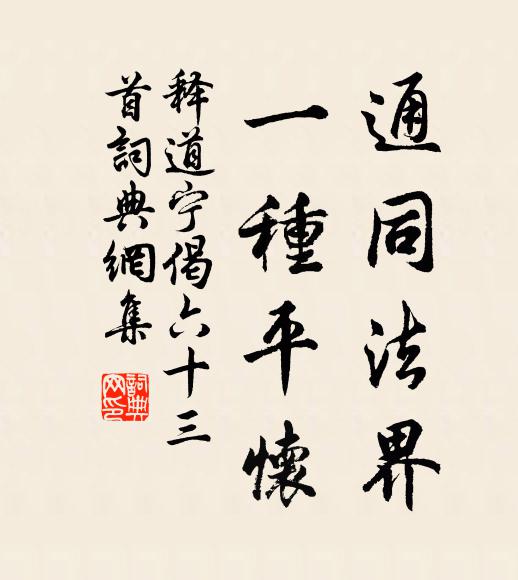 释道宁通同法界，一种平怀书法作品欣赏