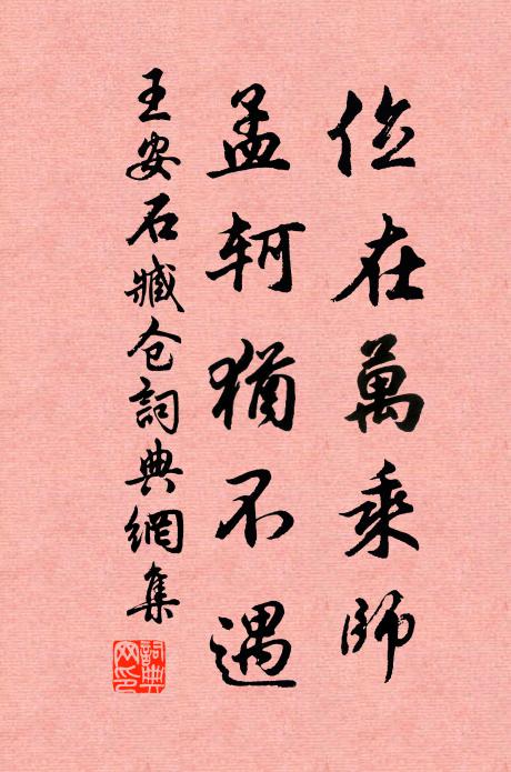 王安石位在万乘师，孟轲犹不遇书法作品欣赏