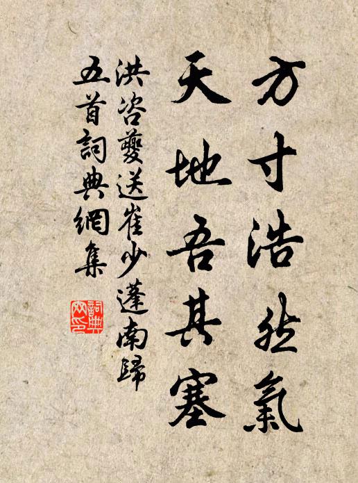 洪咨夔方寸浩然气，天地吾其塞书法作品欣赏