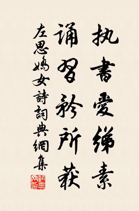 左思执书爱绨素,诵习矜所获书法作品欣赏