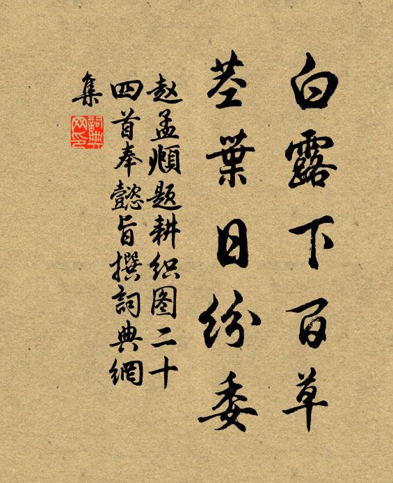 赵孟頫白露下百草，茎叶日纷委书法作品欣赏