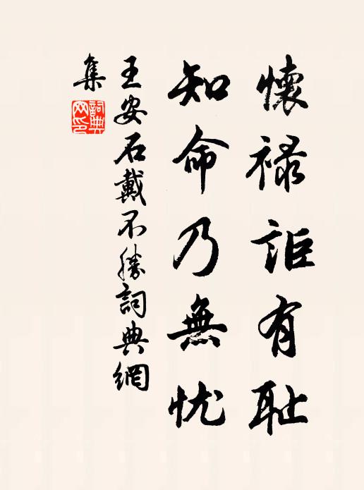 王安石怀禄讵有耻，知命乃无忧书法作品欣赏