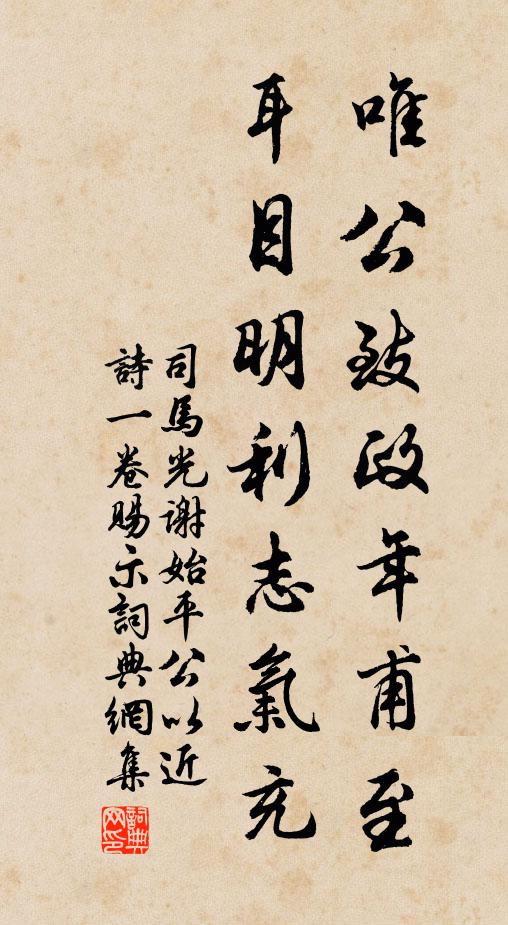 司马光唯公致政年甫至，耳目明利志气充书法作品欣赏