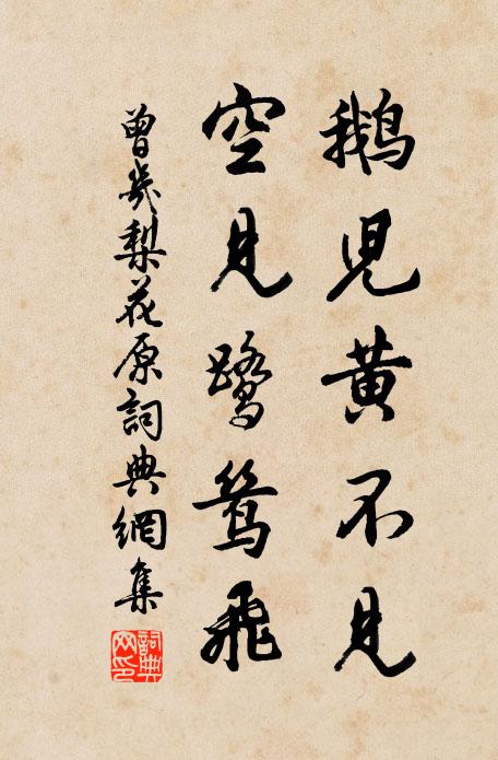曾几鹅儿黄不见，空见鹭鸶飞书法作品欣赏