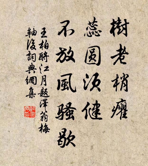 王柏树老梢癯，蕊圆须健，不放风骚歇书法作品欣赏