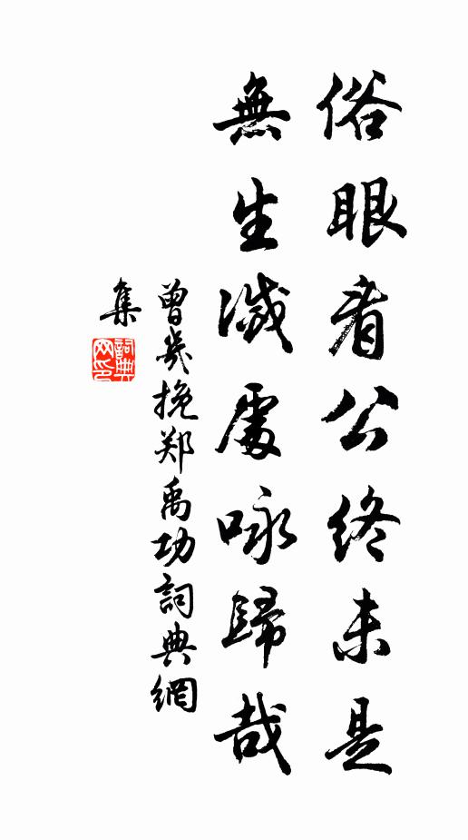 曾几俗眼看公终未是，无生灭处咏归哉书法作品欣赏