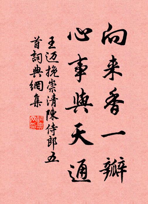 王迈向来香一瓣，心事与天通书法作品欣赏