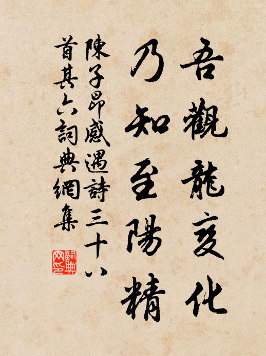 陈子昂吾观龙变化，乃知至阳精书法作品欣赏