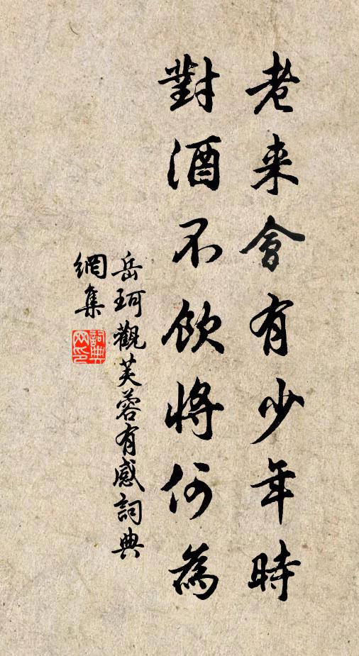 岳珂老来会有少年时，对酒不饮将何为书法作品欣赏