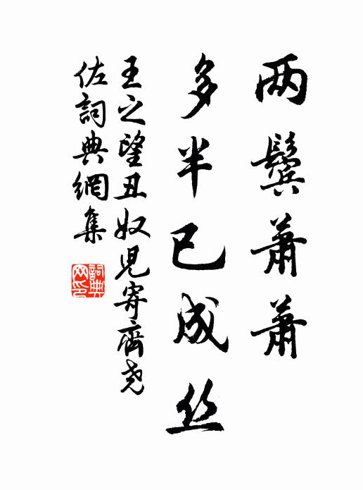 王之望两鬓萧萧、多半已成丝书法作品欣赏