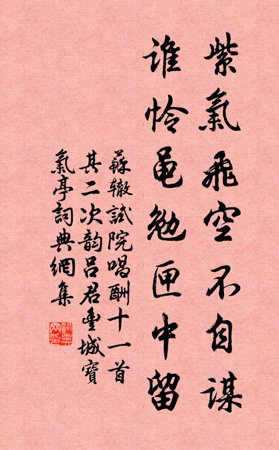 苏辙紫气飞空不自谋，谁怜黾勉匣中留书法作品欣赏