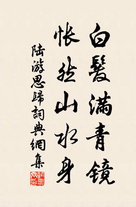 陆游白发满青镜，怅然山水身书法作品欣赏
