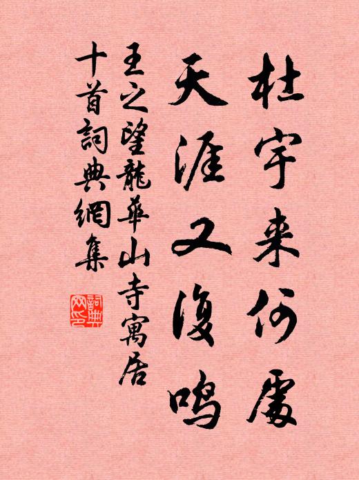 王之望杜宇来何处，天涯又复鸣书法作品欣赏