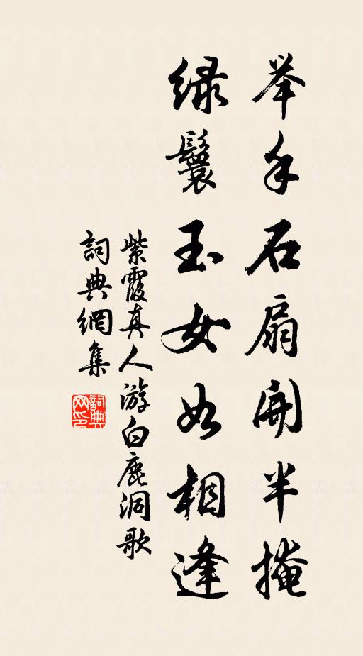紫霞真人举手石扇开半掩，绿鬟玉女如相逢书法作品欣赏