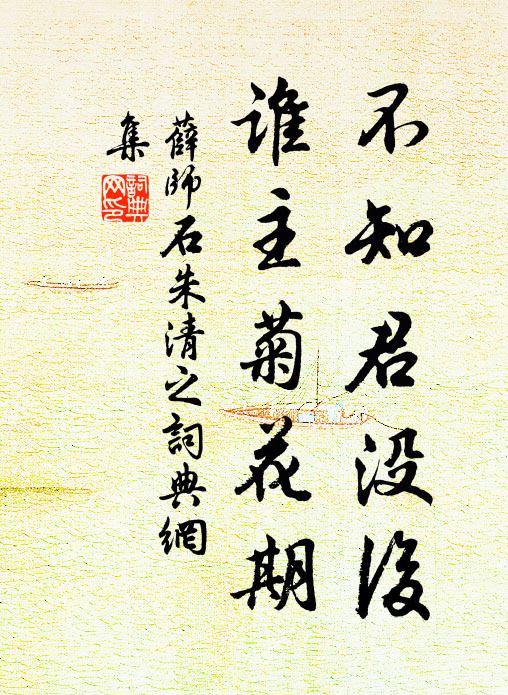 薛师石不知君没后，谁主菊花期书法作品欣赏