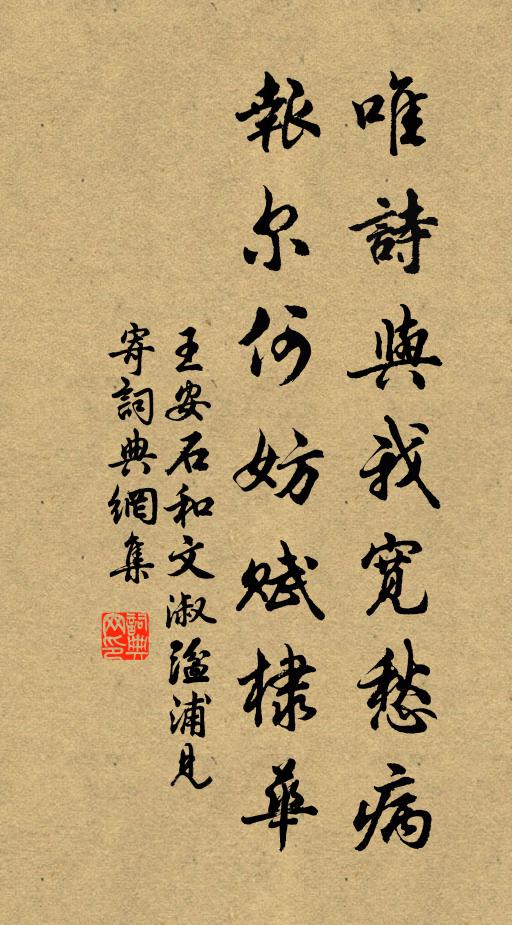 王安石唯诗与我宽愁病，报尔何妨赋棣华书法作品欣赏
