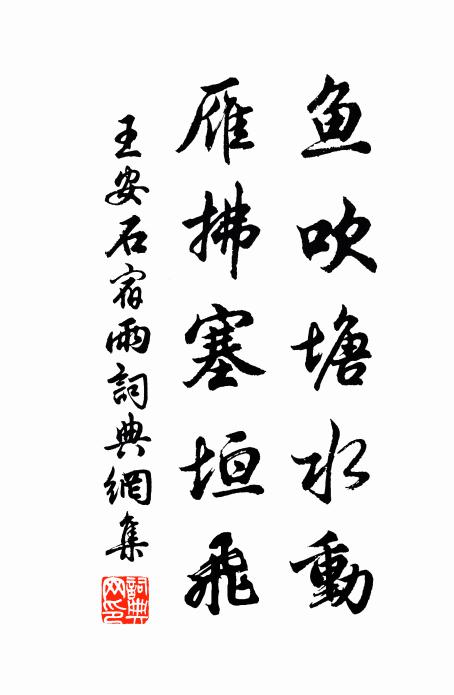 王安石鱼吹塘水动，雁拂塞垣飞书法作品欣赏