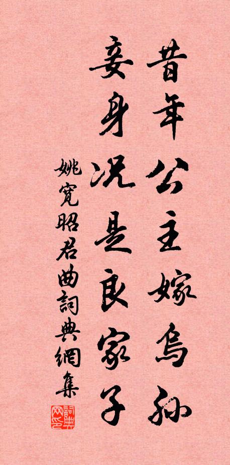 姚宽昔年公主嫁乌孙，妾身况是良家子书法作品欣赏